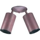 Lutron Electronics Bisque 2-Gang Biscuit Wall Plate 