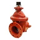 Mueller Company Push On x Flanged Ductile Iron Open Left Resilient Wedge Gate Valve 