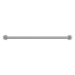 42 in. Grab Bar in Peened Stainless Steel