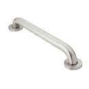 18 in. Grab Bar in Stainless Steel