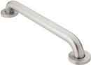 Moen Stainless Steel Grab Bar in Stainless Steel 