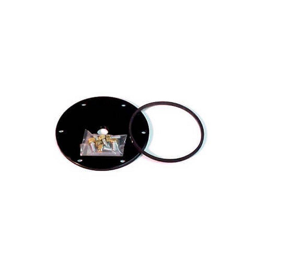 Weil Mclain 386 700 360 PWTGO Cover Plate W 