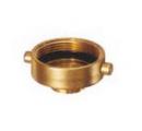 American Fire Protection FNST x MIPT Brass Adapter 