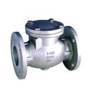 2 in. Stainless Steel Flanged Swing Check Valve