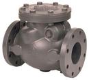 4 in. 175 psi Cast Iron Flanged Check Valve
