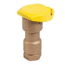 Rain Bird Quick Coupling Valve 