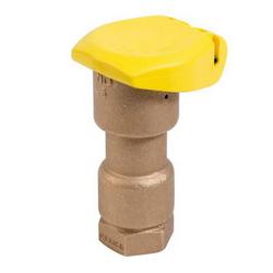 1 in. Quick Coupling Valve