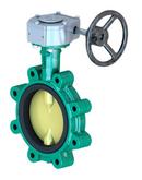 4 in. Ductile Iron Buna-N Locking Lever Handle Butterfly Valve