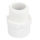 1-13/50 in. MPT Threaded PVC Adapter in White