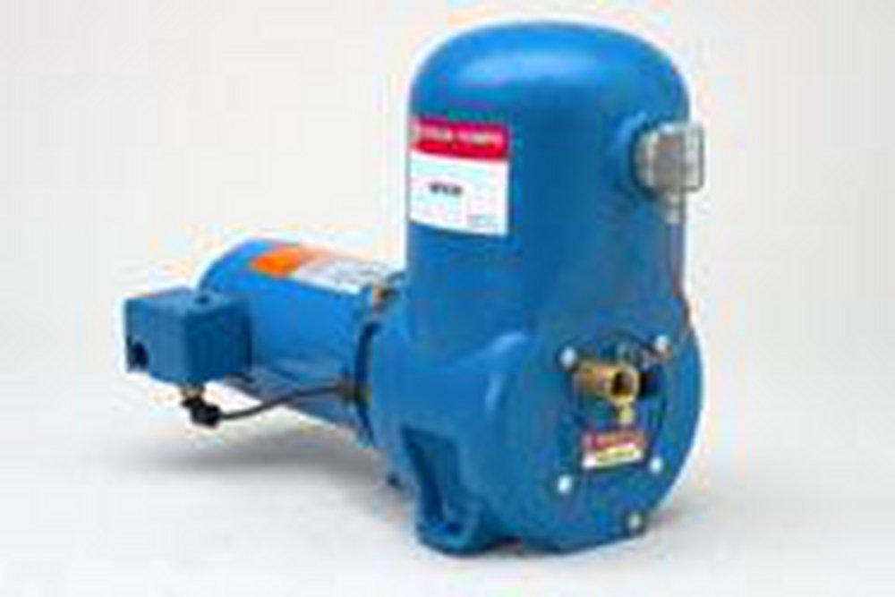 Goulds Water Technology 15 in. Shallow Well Jet Pump 