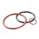 Plastomer Technologies PTFE Encapsulated Ring Gasket 