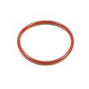 Plastomer Technologies 150# Teflon Encapsulated Ring Gasket 