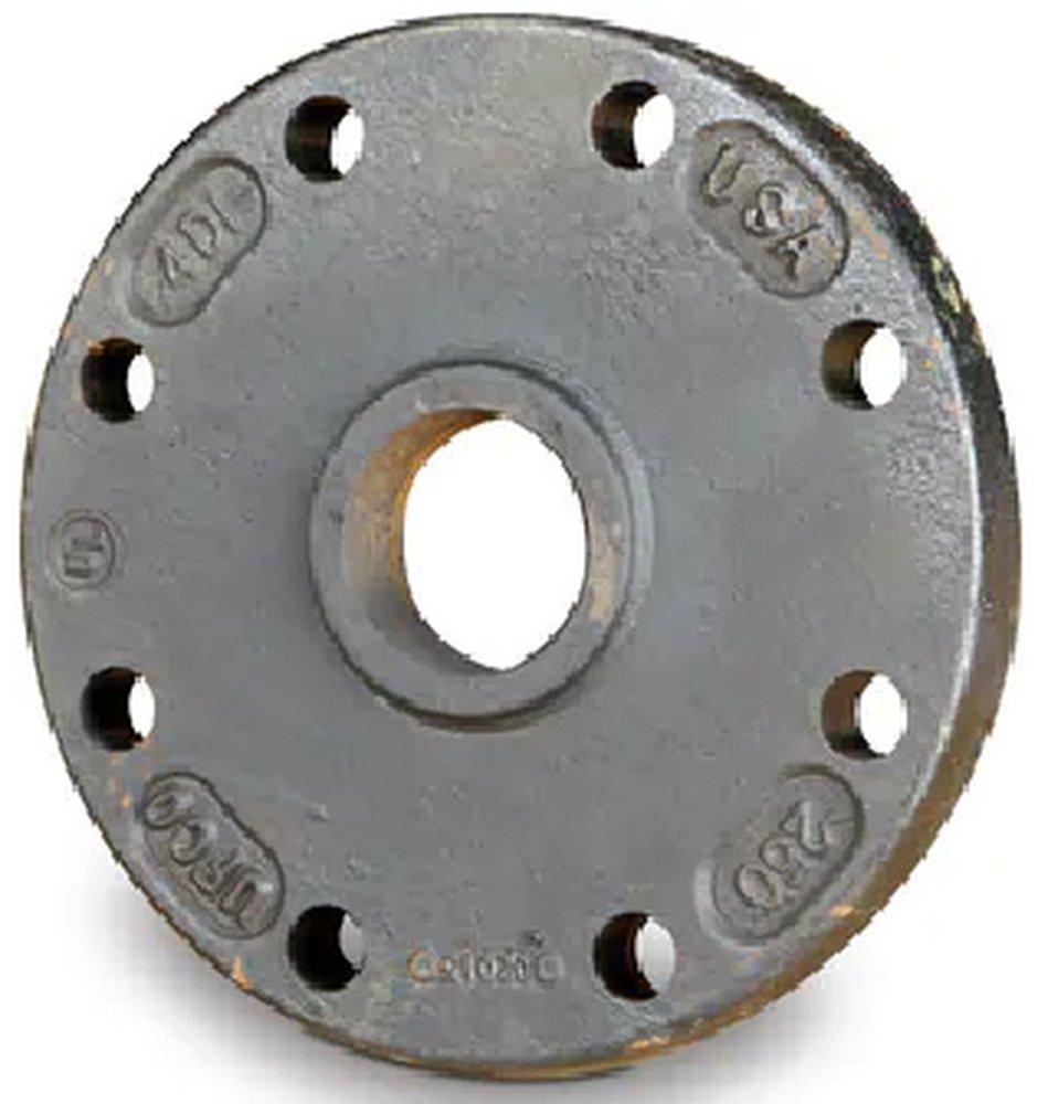 IPT x Blind Ductile Iron Flange 