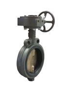 10 in. Cast Iron Wafer EPDM Gear Operator Handle Butterfly Valve