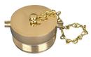 Dixon Valve & Coupling Pin Lug Plug with Chain 