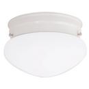 5 x 9 in. 60 W 2-Light Medium Flush Mount Ceiling Fixture with White Glass in White