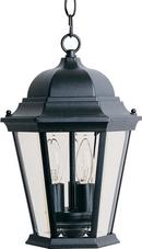3-Light Outdoor Hanging Lantern in Black