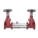 2-1/2 in. 304L Stainless Steel Flanged 175 psi Backflow Preventer