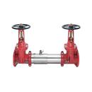 2-1/2 in. Stainless Steel Flanged Backflow Preventer
