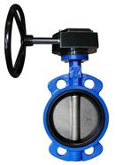 2-1/2 in. Cast Iron EPDM Gear Operator Handle Butterfly Valve