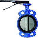 5 in. Cast Iron Buna-N Lever Handle Butterfly Valve