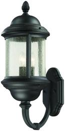 23-1/4 in.60 W 3-Light Candelabra Lantern in Black