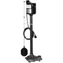 1/2 HP 115V Cast Iron Pedestal Sump Pump