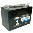 Zoeller Pump Co Black 72 A 12V Battery 