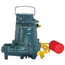 1/3 HP 115V Cast Iron High Temperature Submersible Sump Pump (BN2057)