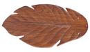 56 in. 5-Blade Pack in Light Oak Philodendron