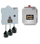 Liberty Pumps Grey Outdoor Duplex Control Panel 