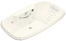 67 x 42 in. Total Massage Drop-In Bathtub with Center Drain in Biscuit