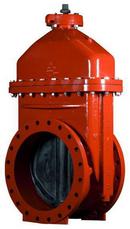 20 in. Flanged Ductile Iron Open Left 250 psig Resilient Wedge Gate Valve