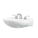 21-1/4 x 18-1/4 in. Oval Dual Mount Bathroom Sink in White
