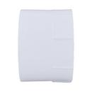 White PVC DWV Female Adapter 