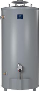 State White 65 MBH Natural Gas Aluminum Magnetic Water Heater 