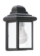 1-Light Medium Lantern in Black