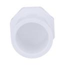 White PVC Schedule 40 Plug 
