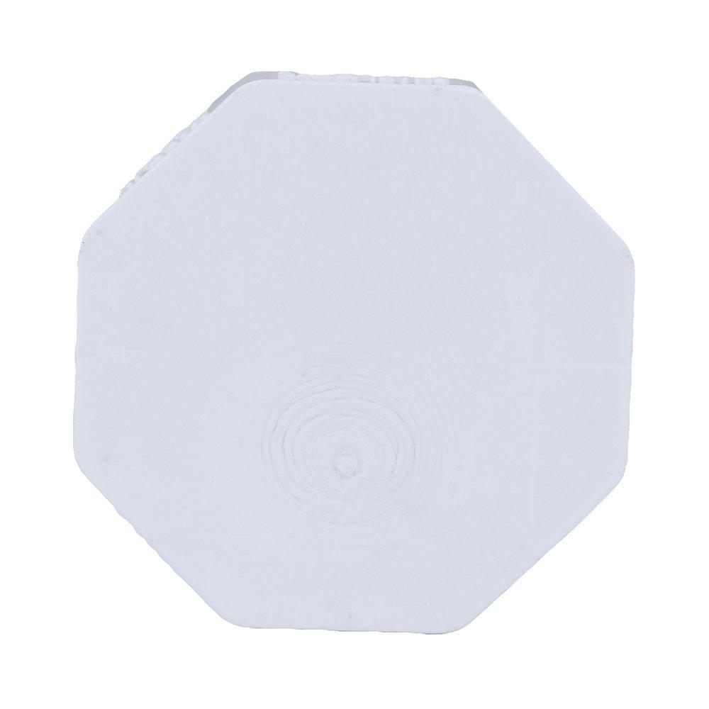 White PVC Schedule 40 Plug 
