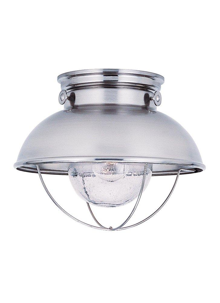 Visual Comfort & Co. Generation Lighting Brushed Stainless Steel 1-Light Outdoor Ceiling Flushmount Light 