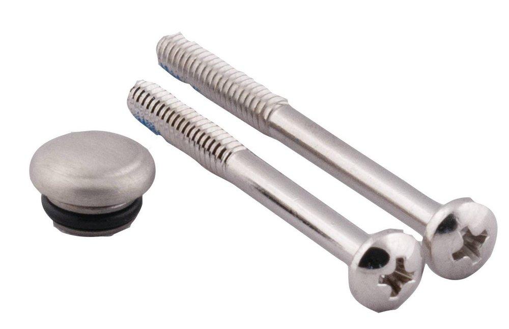 Moen Brushed Nickel Cap 