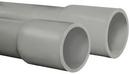 Can-Tex Industries 10 ft. Schedule 40  Bell End PVC Conduit Pipe 