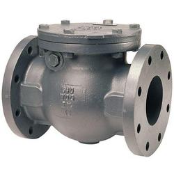 2-1/2 in. Nickel Iron Flanged Check Valve