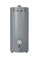 74 gal. Tall 75.1 MBH Low NOx Atmospheric Vent Propane Water Heater