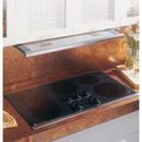 GE&reg; Brushed Aluminum 36 in. Slide-Out Vent Hood 