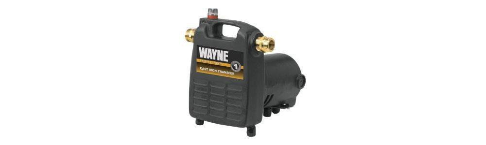 Wayne Water Systems 115 V Cast Iron Electric Utility Pump 