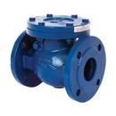 M&H Valve Cast Iron Flanged Swing Check Valve 