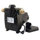 Zoeller Pump Co 3/4 in. 115V 20 ft. Transfer Pump 