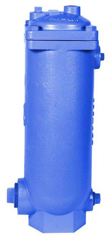 Golden Anderson Valve BSPT Ductile Iron 232 psi Air Release Valve 