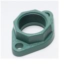 1 in. NPT Cast Iron Pump Flange for 110/2400 Series and All Small 00e™